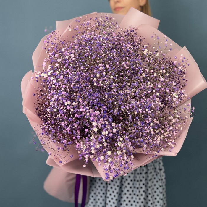 15 фиолетовых гипсофил